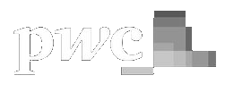 PricewaterhouseCoopers - Professional Services Partner